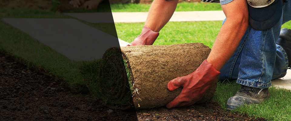 West Hempstead Landscapers